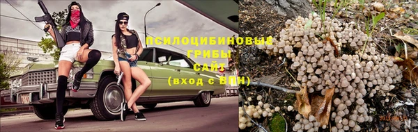 таблы Нея