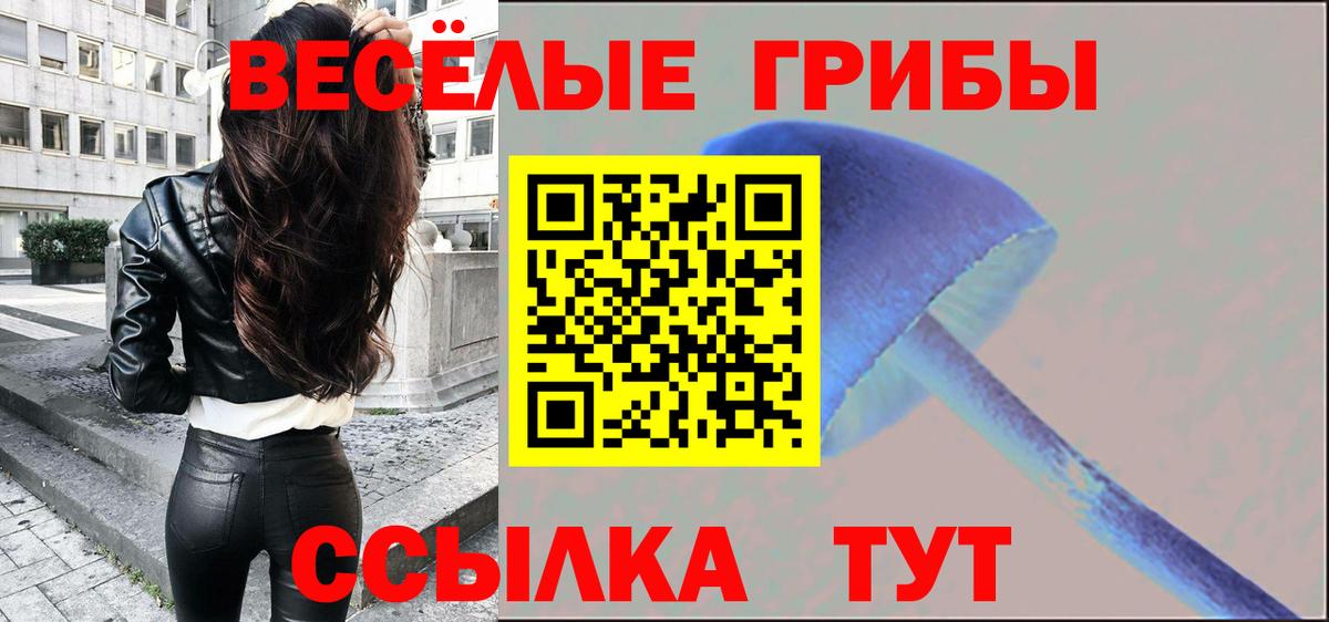 Туймазы  Псилоцибиновые грибы мицелий  Псилоцибиновые грибы Psilocybe  Вход с VPN 